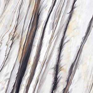 ZZIS82 - Wild Forest